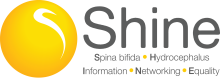 Shine - yellow ball with Shine in grey Logo